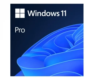 Microsoft Windows 11 Professional klucz produktu OEM dożywotnia licencja 